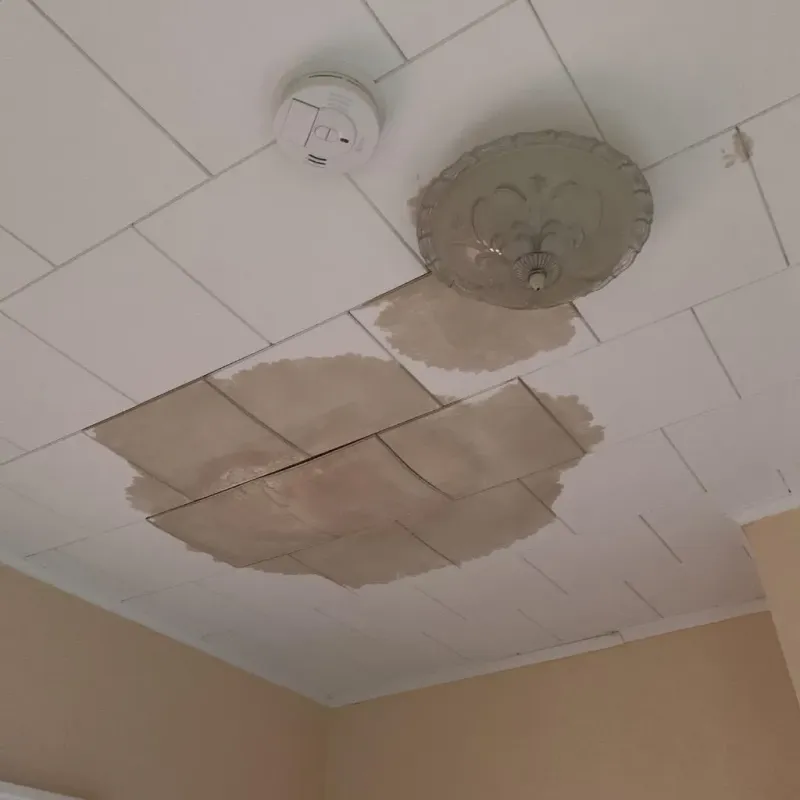 Ceiling Water Damage Repair in Progress Village, FL